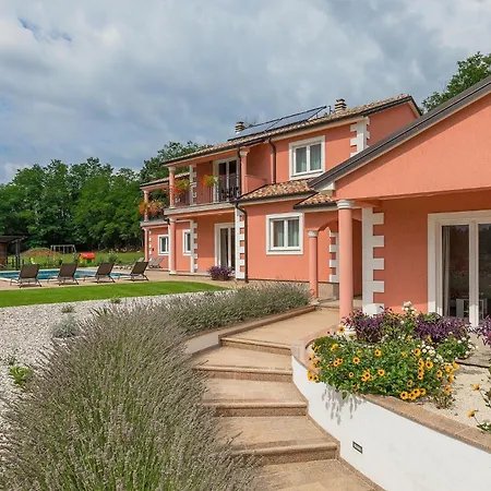 Rose Mocitada * Motovun